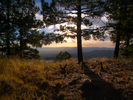 photo thumbnail #8