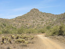 photo thumbnail #5