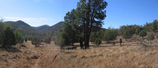 photo thumbnail #9