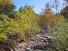 photo thumbnail #11