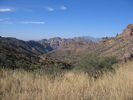 photo thumbnail #14
