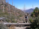 recent photo