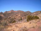 photo thumbnail #5