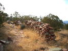 photo thumbnail #11