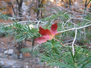 photo thumbnail #6