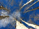photo thumbnail #9