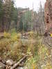 photo thumbnail #4