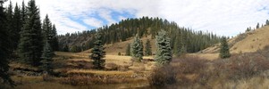 photo thumbnail #4