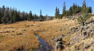 photo thumbnail #2