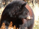 photo thumbnail #6