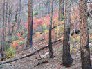 photo thumbnail #12