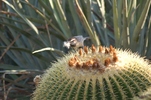 photo thumbnail #2