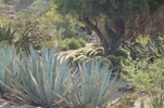 photo thumbnail #6
