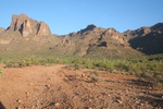 recent photo