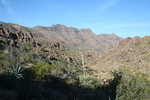 recent photo