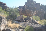 photo thumbnail #6