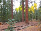 photo thumbnail #9