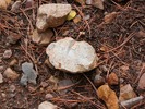 photo thumbnail #10
