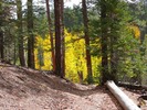 photo thumbnail #11