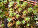 photo thumbnail #14