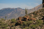 photo thumbnail #4