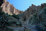 photo thumbnail #6