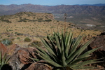 photo thumbnail #13
