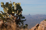photo thumbnail #14
