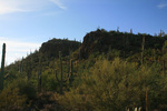 photo thumbnail #1