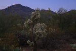 photo thumbnail #2