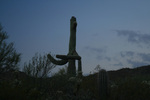 photo thumbnail #3