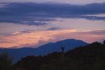 photo thumbnail #7