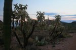 photo thumbnail #8