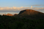 photo thumbnail #10
