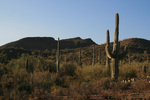 photo thumbnail #11
