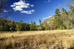 photo thumbnail #12
