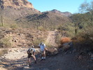 photo thumbnail #11