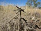 photo thumbnail #6