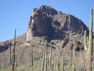 photo thumbnail #8