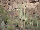 photo thumbnail #9