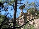 photo thumbnail #7