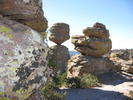 photo thumbnail #8