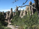 photo thumbnail #12