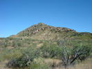 photo thumbnail #2