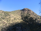 photo thumbnail #1
