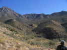 photo thumbnail #7