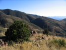 photo thumbnail #11