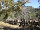 photo thumbnail #2