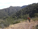 photo thumbnail #8