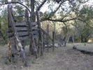 photo thumbnail #13